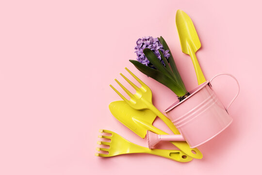 Spring, gardening and horticulter concept with hyacinths, tools and watering can on pink background, top view