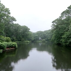 Fototapeta premium Early morning calm lake surrounded by lush green trees and soft reflections on the water surface, creating a serene and tranquil natural setting