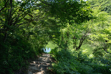 新潟　斐太遺跡の池（妙高市）