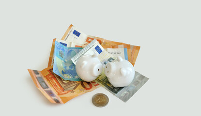 Cash bills, euros, coin, two piggy banks, light background. Concept of saving for retirement, money laundering, investment, family budget. Investment return, financial fraud, scams, money luring techn