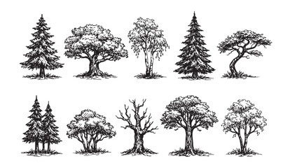 Obraz premium Artistic vector illustration of diverse hand-drawn tree silhouettes. Ideal for nature illustrations, landscape designs, botanical graphics, and educational materials.