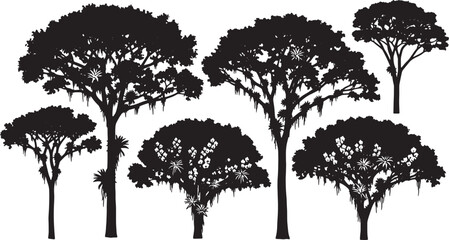 Black Solid Rainforest Canopy Giant Tree Silhouettes Set of Six on White Background © Dreamfly