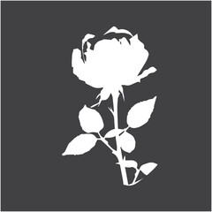 Black rose silhouette isolated on white canvas