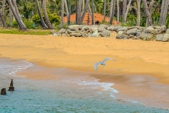 A beautiful view of a tropical beach