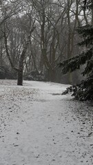 Winter park path leading through snow covered bare trees