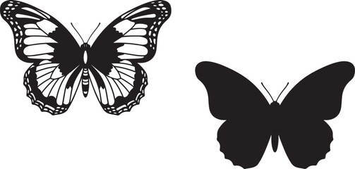 Partial view of a black and white butterfly wing with intricate patterns © Samiha