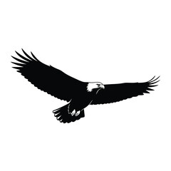 Fototapeta premium Majestic Bald Eagle Flying Silhouette with Spread Wings Illustration