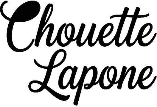 Elegant script text, decorative, stylish, graceful, cursive, flowing, artistic, charming, refined