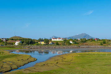 Obraz premium Marsh landscape near Fredvang with townscape and impressive mountain backdrop. Lofoten in Norway.