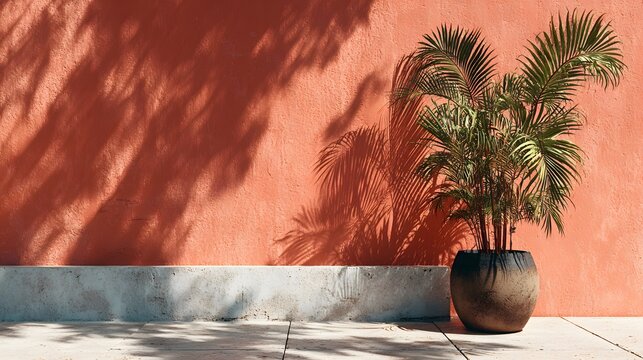 Minimalist architectural detail depicts a terracotta wall with sharp palm frond shadows and a stone plinth in bright Mediterranean sunlight.