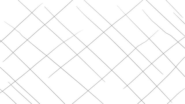 Intersecting stripes flicker across the screen, forming a grid.