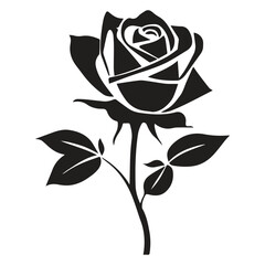 Black rose silhouette isolated on white canvas