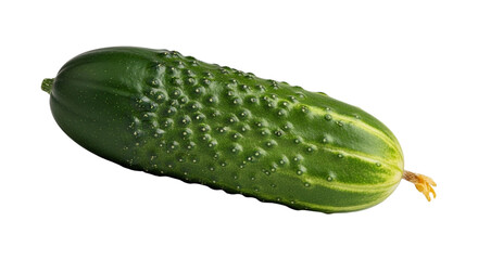 Fresh green cucumber isolated on transparent background with water drops on its skin