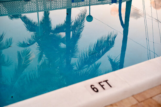 Reflections of palm trees on a serene blue swimming pool surface in soft light.   Miami, Florida, USA