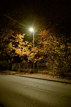 Street illuminated by a single lamppost surrounded by autumn trees at night. Germany