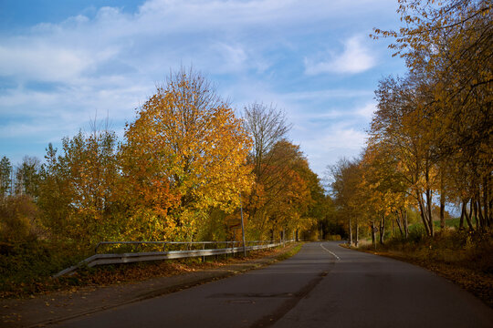 Serene autumn landscape with a winding road and vibrant, colorful trees under a blue sky. Germany