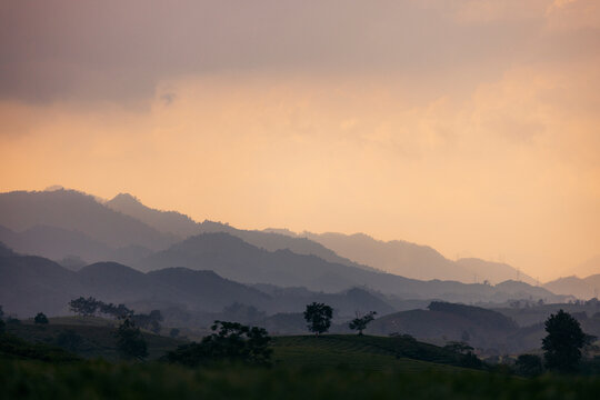 Rolling hills at sunset with layers of mist and soft, warm light in the distance. Tea Hills of Long Coc, Tan Son District, Phu Tho, Vietnam