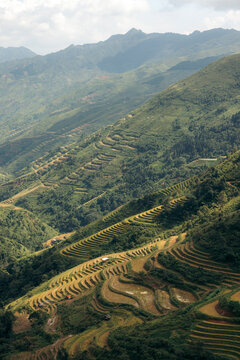 Lush green terraced rice fields stretch across rolling hills beneath a cloudy sky. Mountains of Ta Xua, Bac Yen District, Son La, Vietnam