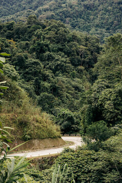 Lush green forest with a winding road cutting through dense mountainous landscape. Muong Te District, Lai Chau, Vietnam