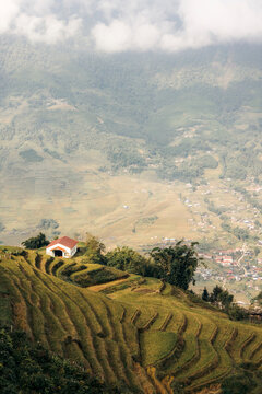 Lush terraced fields with a small house overlook a vast valley under a cloudy sky Sapa, Vietnam