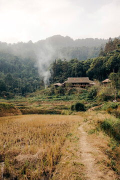 A rustic wooden house sits nestled in lush green hills, surrounded by smoky mist and golden fields. Ban Lien, Bac Ha, Lao Cai, Vietnam