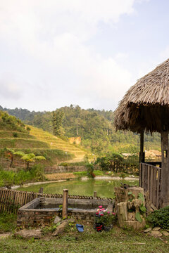 Rustic wooden hut overlooking lush green rice terraces and distant forested hills. Ban Lien, Bac Ha, Lao Cai, Vietnam