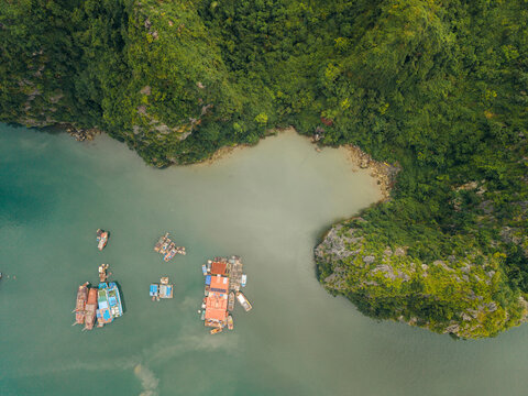 Aerial view of boats on tranquil water near lush green forested cliffs and rocky shorelines. Lan Ha Bay, Cat Ba, Vietnam