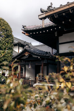 Traditional Japanese architecture with ornate roof details and garden foliage in the foreground. Kyoto, Japan