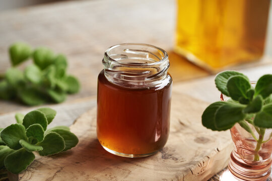 A jar of Coleus amboinicus syrup for common cold