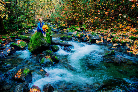A woman wearing a hat sits on a mossy rock by a flowing forest stream in autumn foliage. Washington State,,USA