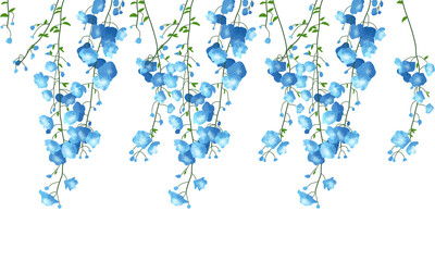 Fototapeta premium Beautiful hanging blue flowers illustration with green leaves isolated on transparent background.