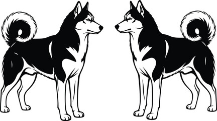 Black and white vector illustration of two Siberian Husky dogs standing and facing each other, perfect for pet logos, animal branding, and canine breed graphics. © Abdullah