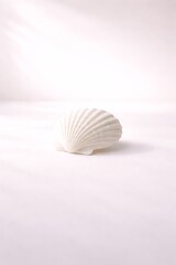 One white seashell on white table background with sun light and shadow for cosmetic product display