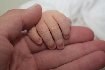 Tender Touch Adult Hand Gently Holding Infant's Hand