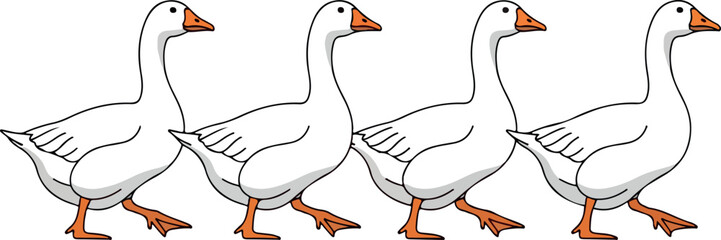 Four white geese walking in a line, illustrations of domestic birds, farm animals in a row, vector graphics, simple background © G Factory