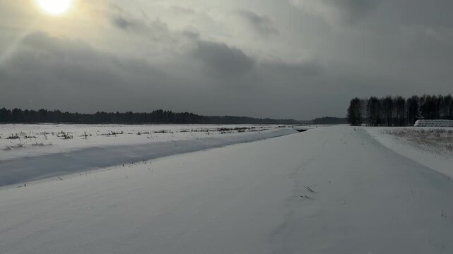Field covered with snow. Winter landscape. Forest in the snow.