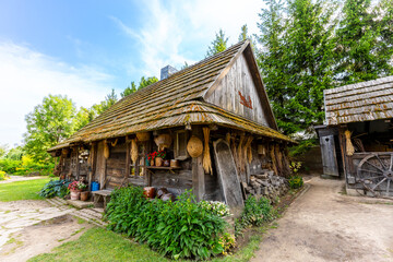 Fototapeta premium Kapias Botanical Garden in Goczałkowice-Zdrój, Poland