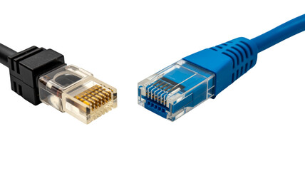 Black and blue Ethernet network cables with RJ45 connectors, ready for data connection