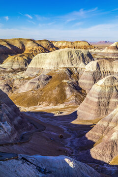 The Petrified Forest of the Arizona Desert