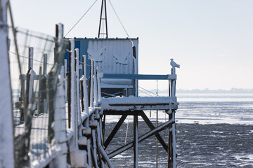 Carrelet enneigé de la Baie de Yves, Charente Maritime, France © jujud3100