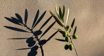 Happy easter sunday wishes with olive branch on sandy background