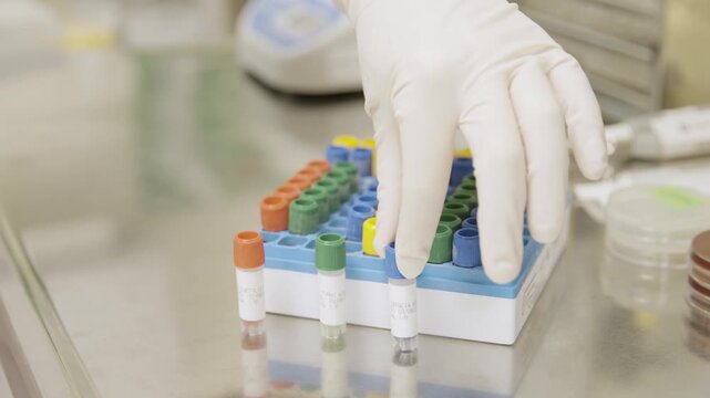 Test tube rack in laboratory 4k