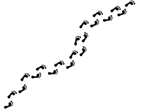 Bare footprints set. Vector clipart. Human footprints on transparent background.