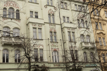 Pale green ornate facade with leafless tree silhouette across windows and balconies, delicate frieze and balustrade details under soft winter light, ideal for seasonal urban architecture © Alena