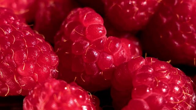 Gradual forward camera motion shifts from defocus to focus across red raspberry macro surface, revealing vivid texture and detail. The clean macro background suits food visuals, and abstract use.