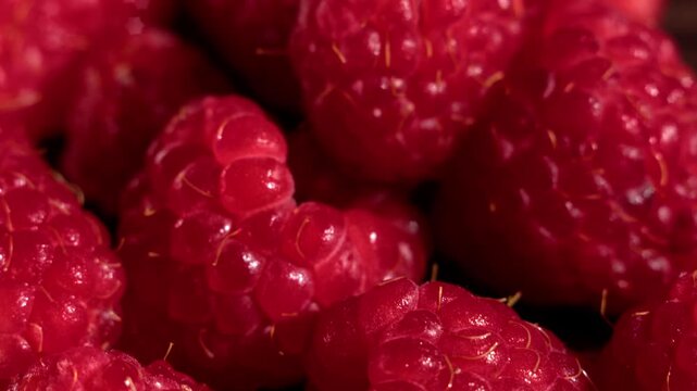 Raspberry surfaces appear in extreme macro with smooth forward camera motion, creating a rich organic texture suitable for food, health and creative design backgrounds and visual concepts.