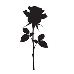 Black rose silhouette isolated on white canvas