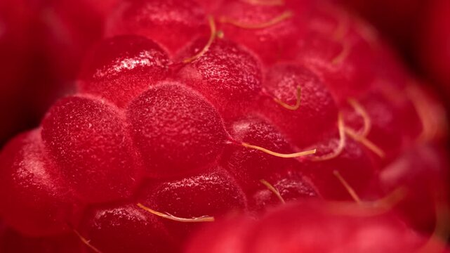 Light reflections glide over a detailed red raspberry macro surface, emphasizing moisture and depth. This static macro background is designed for food visuals, abstract design, and premium visual use.
