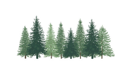 Fototapeta premium fir tree isolated on white