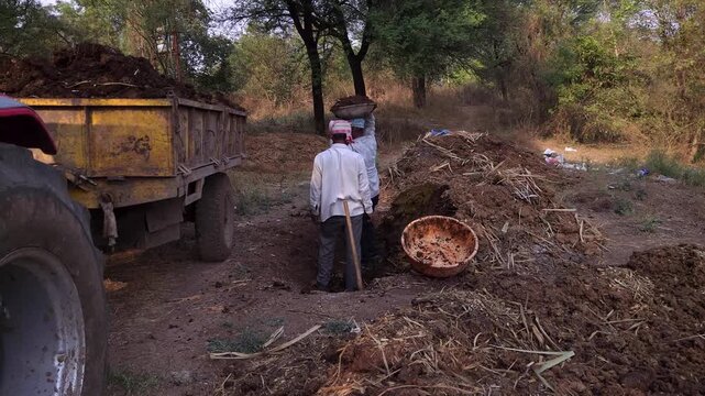 Workers replenish soil fertility by manually loading organic compost from a large mound into a yellow tractor trailer. This nutrient-rich fertilizer helps restore the land & enhances crop growth in ru